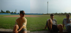 panorama_ducks_field