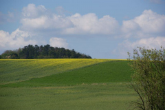 DSC00840