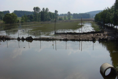 2002