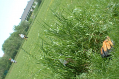2004_0531_052554AA