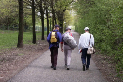 Ligaspiel vs. Ravens II in Tulln, 24.04.2004