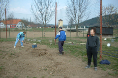 2003_0417_235531AA