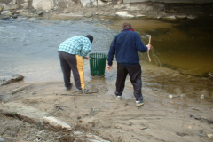 2003_0418_043306AA