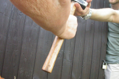 hammerhart