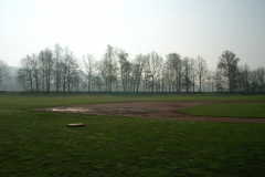 DSCN6529
