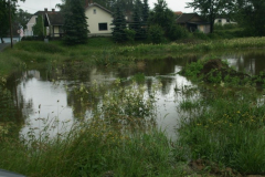 Überschwemmung 2009, Teil II