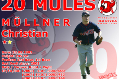 20_Mules