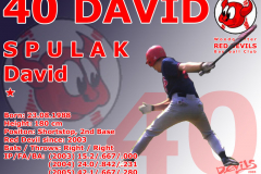 40_David